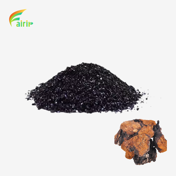 Chaga Black Gold Powder